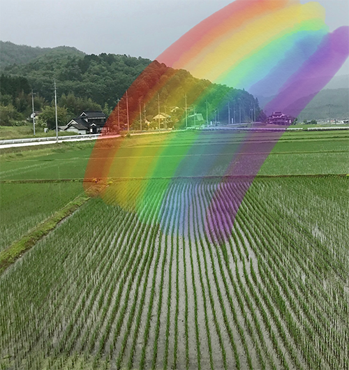 写真、虹を書いた