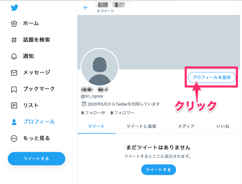 キャプチャー、プロフィール設定